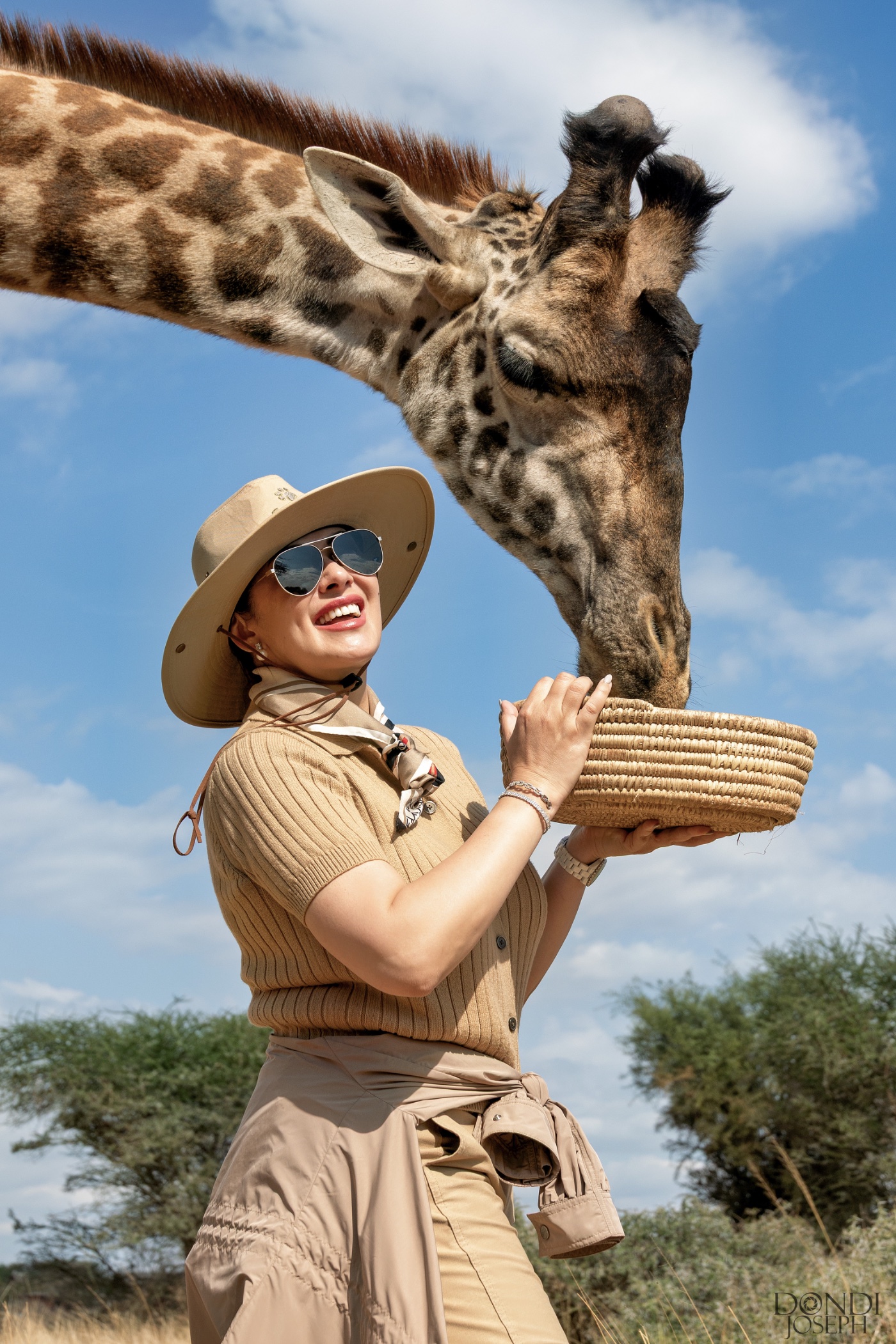 Feeding a giraffe on safari
