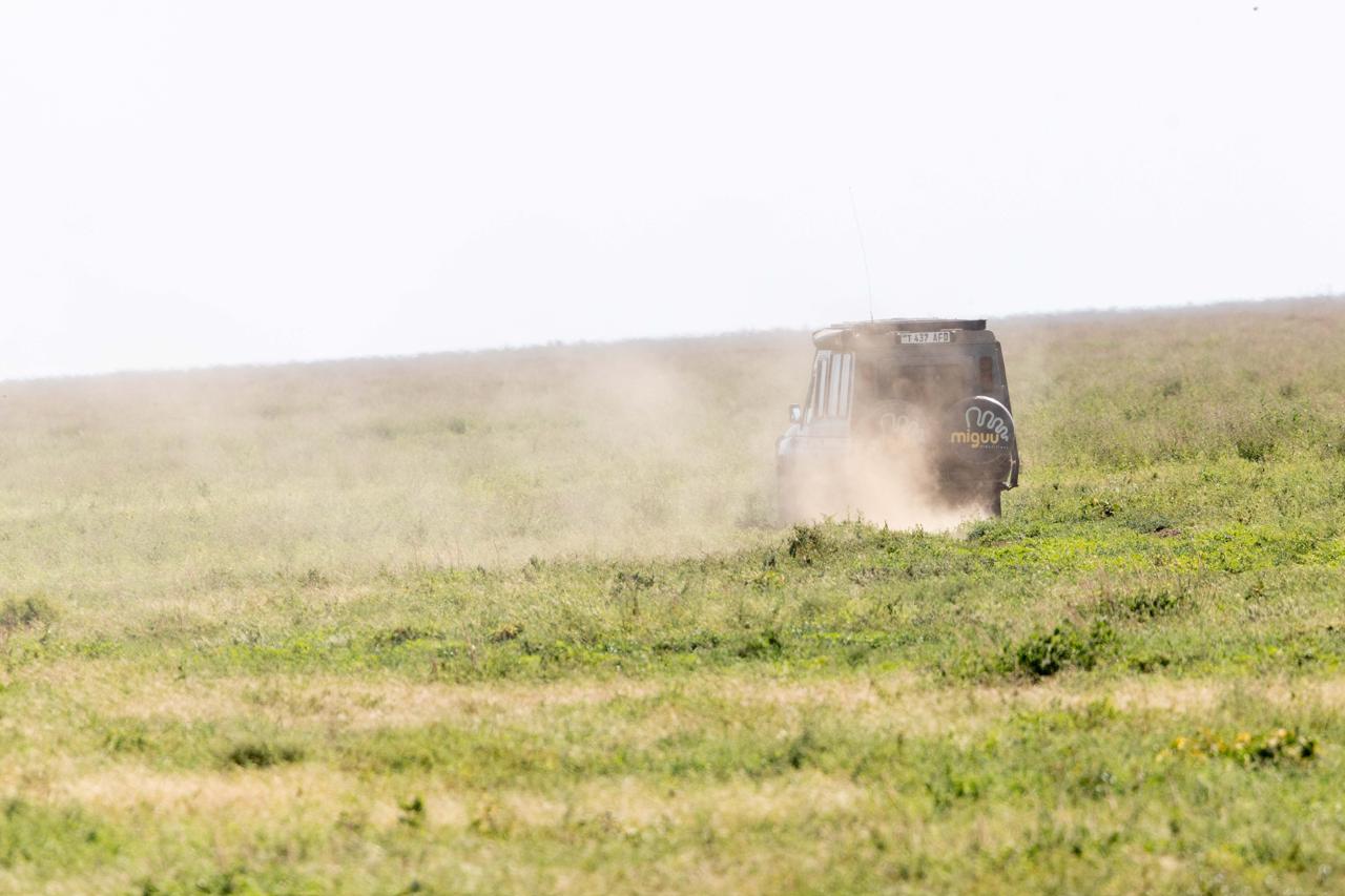 Miguu Land Rover on the move